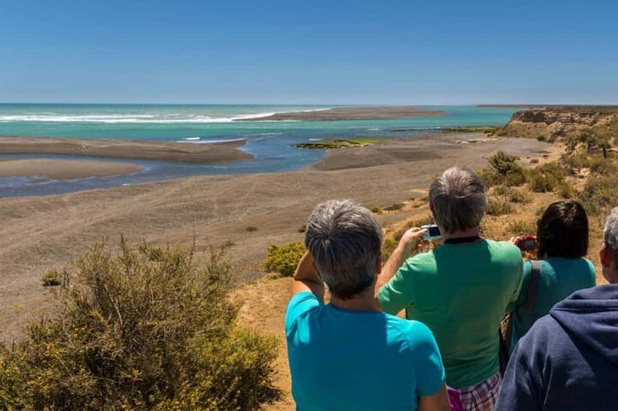 Peninsula Valdes Shore Tour for Cruise Passengers + City - Why Peninsula Valdés is worth the long ride