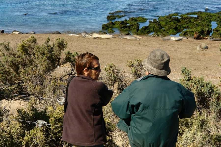 Peninsula Valdes Shore Tour for Cruise Passengers + City - The return drive and possible Puerto Madryn city tour