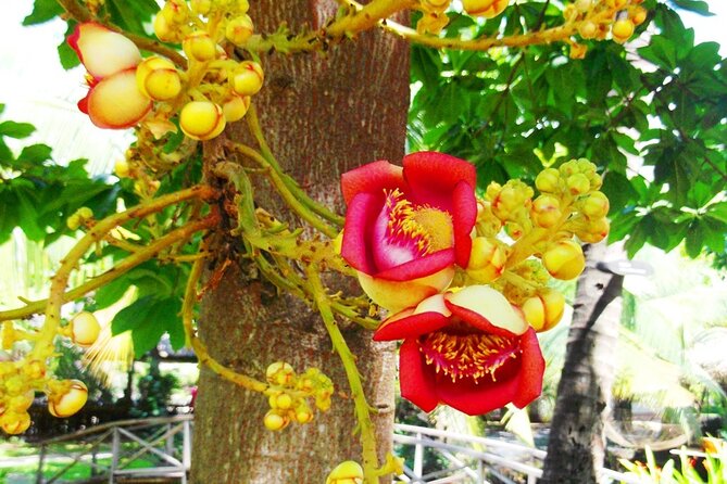 PHU MY SHORE EXCURSION: Saigon Past and Present Tour - Lunch with Vietnamese specialties