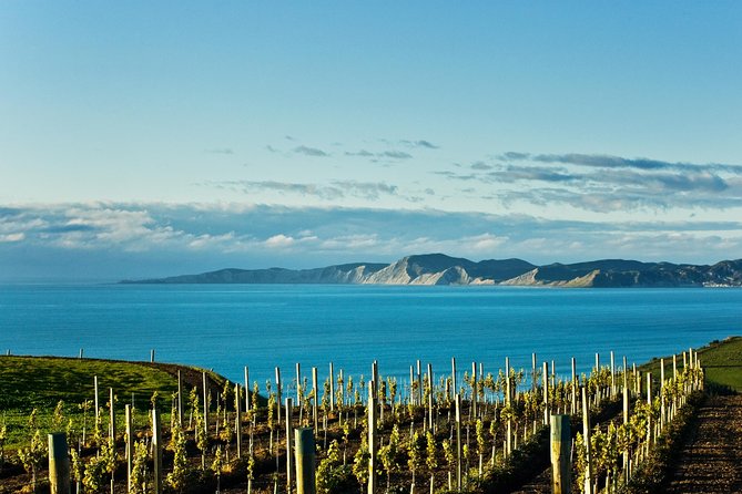 Picton Cruise Ship Shore Excursion Marlborough Wine Tour - Four or five cellar doors, depending on the clock
