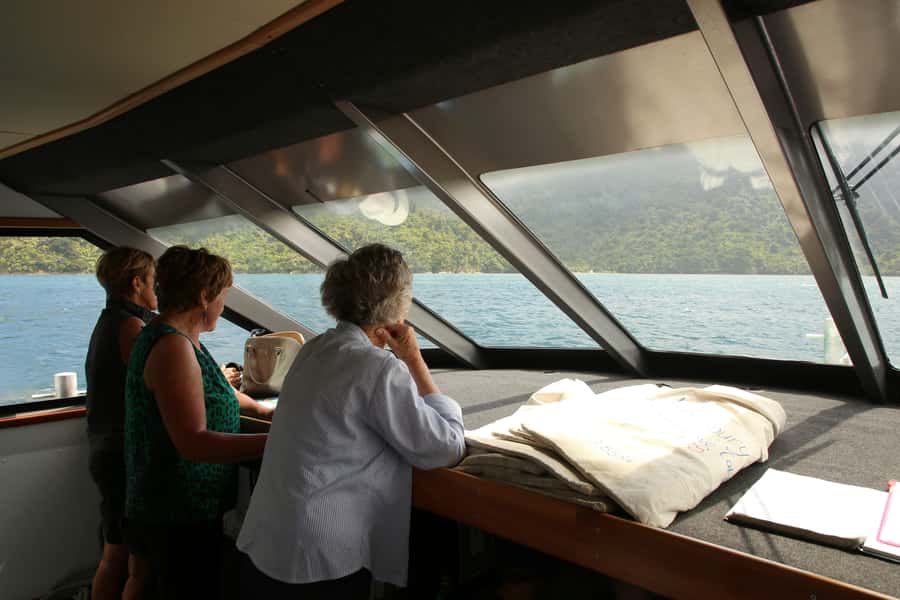 Picton Shore Excursion: Queen Charlotte Sounds Cruise - Wildlife, seabirds, and the fish-feeding stop