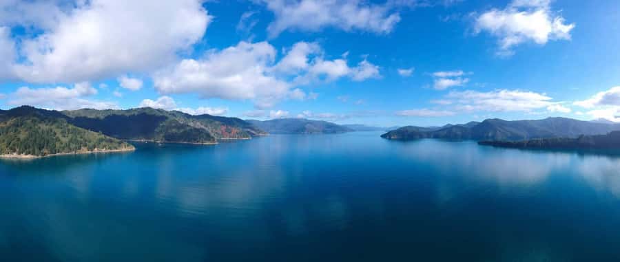 Picton Shore Excursion: Queen Charlotte Sounds Cruise - How this compares with a longer Marlborough Sounds outing