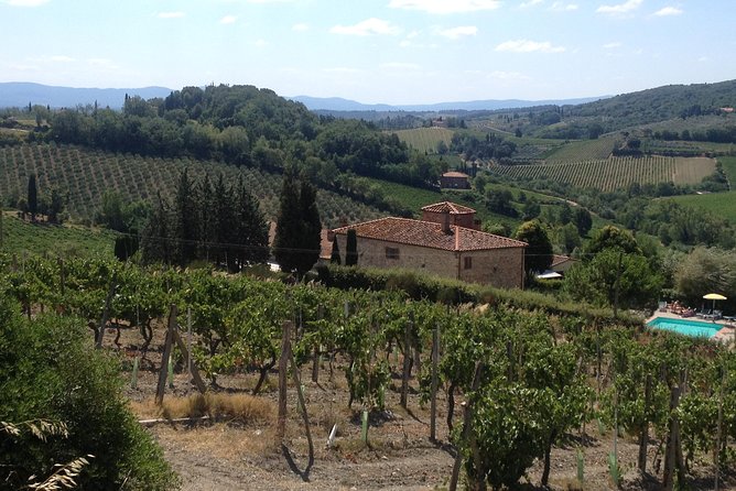 Pisa & Florence highlights shore excursion from Livorno port - A big Tuscan day from Livorno