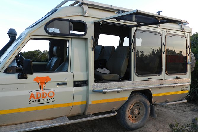 Port Elizabeth Shore Excursion: Addo Elephant Full Day Safari &"Braai"Lunch(BBQ) - The braai lunch is part of the cultural experience
