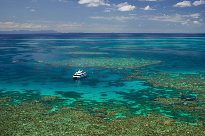 Poseidon Outer Great Barrier Reef Snorkeling and Diving Cruise from Port Douglas - The boat ride from Port Douglas
