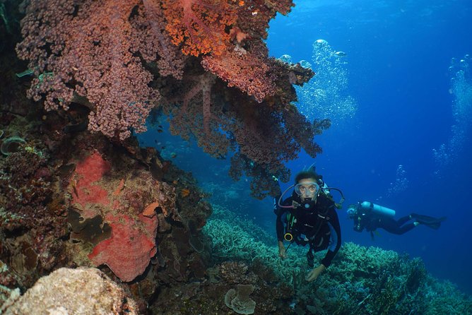Poseidon Outer Great Barrier Reef Snorkeling and Diving Cruise from Port Douglas - Food and what the $225.93 price covers