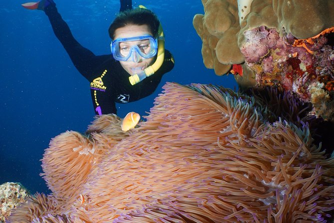 Poseidon Outer Great Barrier Reef Snorkeling and Diving Cruise from Port Douglas - Who should book this reef cruise?