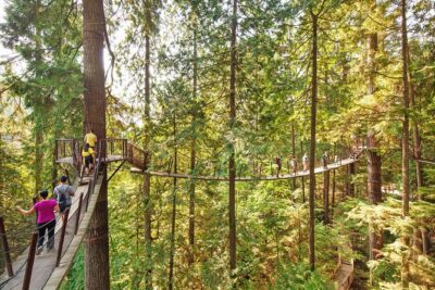 Post-Cruise Shore Excursion: Capilano Suspension Bridge & Grouse Mountain