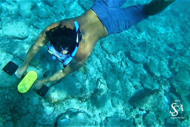 Princeville - Snorkeling Shore Excursion - How the 8:00 am Anahola Start Works
