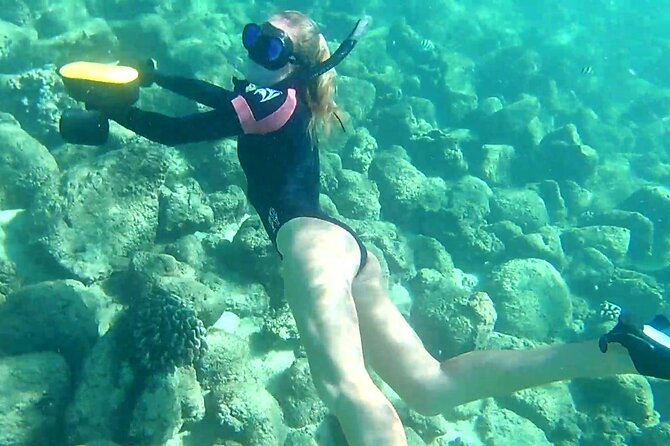 Princeville - Snorkeling Shore Excursion - Price and Value at $123 Per Person