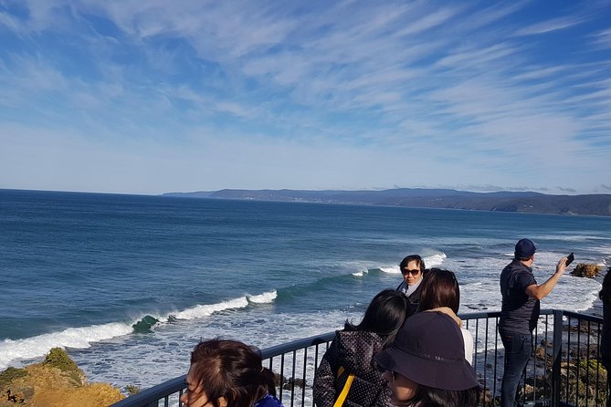 Private 12 Apostles Express Tour - Shorter - Inside the private Mercedes minivan