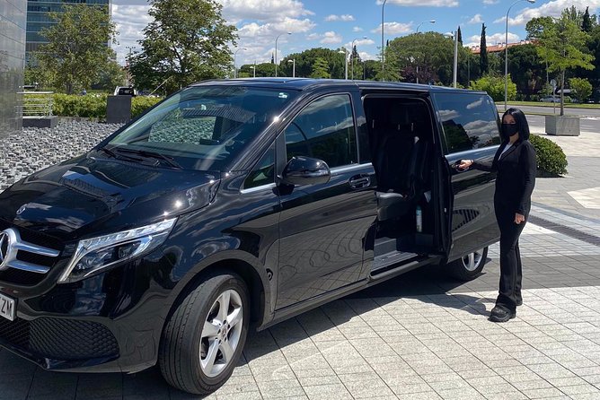 Private 4-hour City Tour of Bilbao with Hotel or Cruise Port pick-up - What the guide and vehicle add to the experience