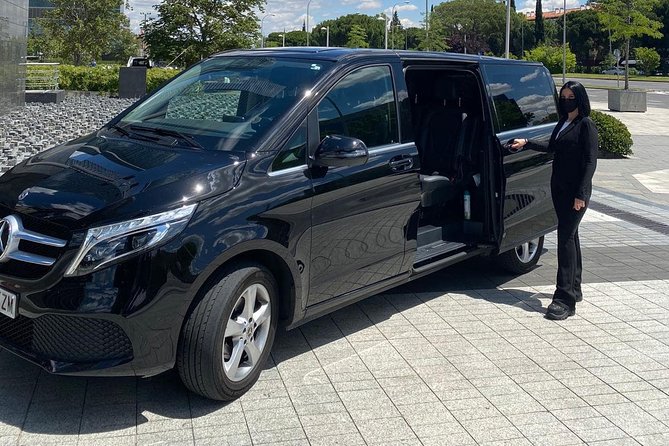 Private 8-hour Shore Excursion from Civitavecchia to Rome - Cruise port pick up - What the private vehicle changes