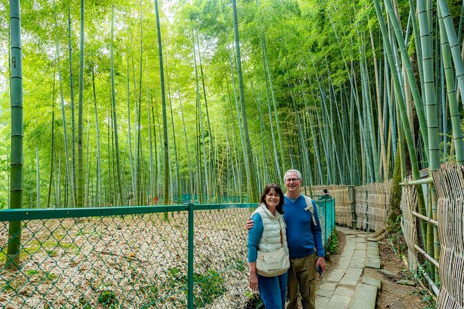 Private Car Tour to KYOTO, OSAKA or NARA | KOBE Shore Excursion - Choosing between the two vehicle options