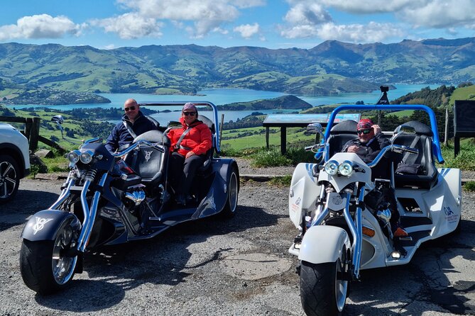 Private Cruise Ship Passengers Tour, Sightseeing in Christchurch - A flexible hour around Christchurch’s main sights