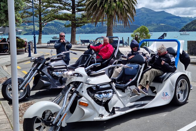 Private Cruise Ship Passengers Tour, Sightseeing in Christchurch - Three hours to choose gardens, galleries, lunch, or shops