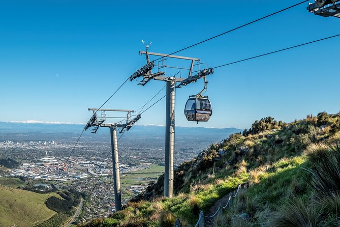 Private Cruise Ship Passengers Tour, Sightseeing in Christchurch - Who will enjoy this private Christchurch tour