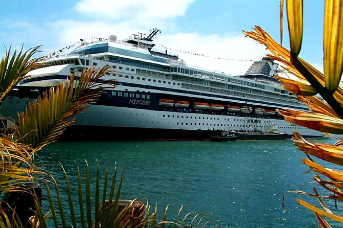 Private Customized French Riviera Tour from Port of Cannes 8H - Cannes: a quick taste of movie glamour