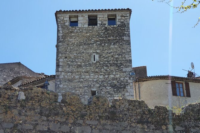 Private Customized French Riviera Tour from Port of Cannes 8H - Monaco: cathedral, palace, and Monte Carlo
