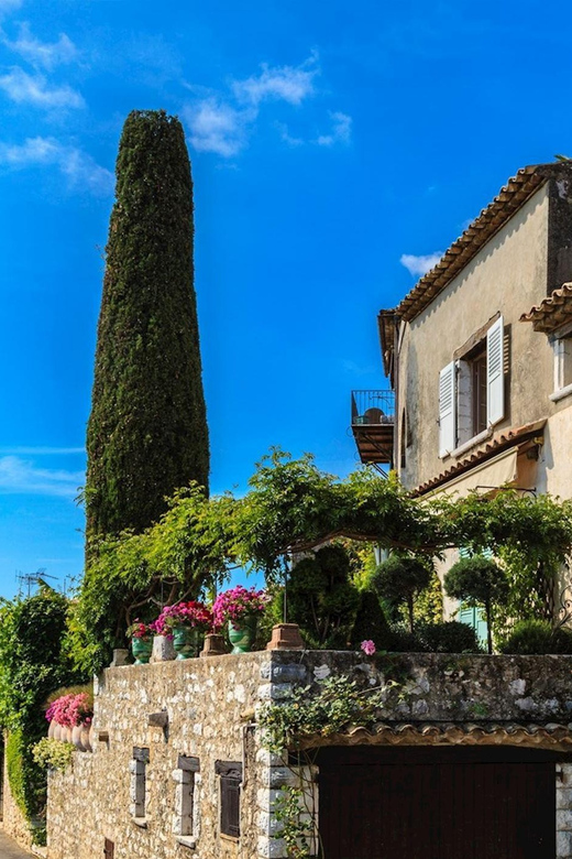 Private Customized French Riviera Tour from Port Villefranch - Timing, accessibility, and language choices