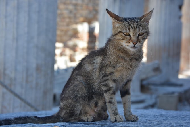 Private Ephesus Shore Excursion - What the private format changes