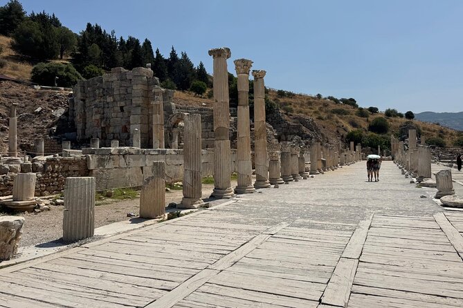 Private Ephesus Shore Tour for Cruise Guests from Kusadasi Port - The Temple of Artemis in twenty quiet minutes