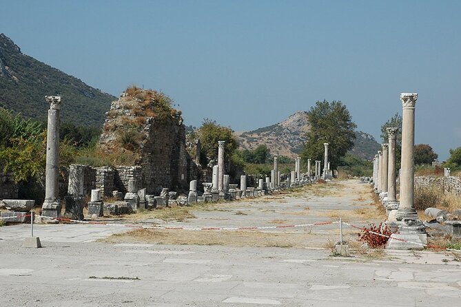 Private Ephesus Shore Tour for Cruise Guests from Kusadasi Port - Roman homes, baths, fountains, and civic life