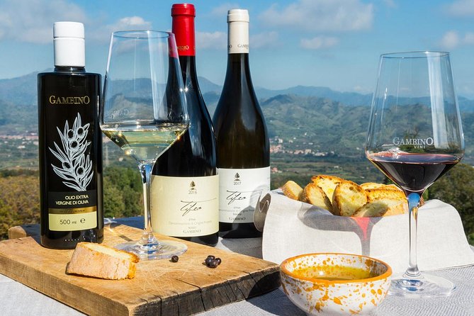Private Etna tour from Messina Cruise Terminal+ Lunch at Winery - From Messina port to the slopes of Etna