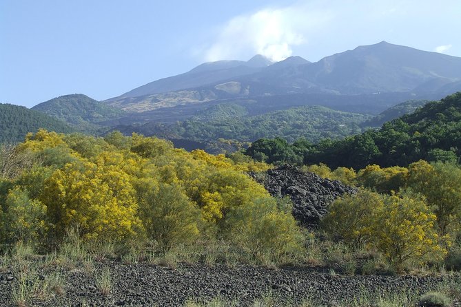 Private Etna tour from Messina Cruise Terminal+ Lunch at Winery - A winery lunch with Etna DOC wines