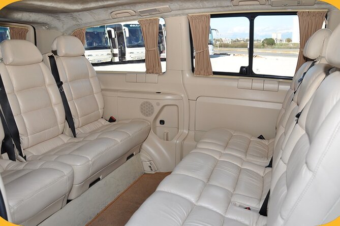 Private Full-Day Ephesus Tour with Miletus and Didyma for Cruise Guests - Private transport and the cruise timetable