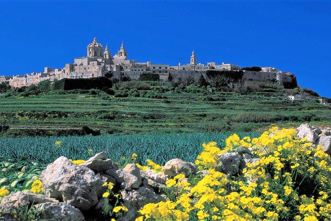 Private guided Malta shore excursion with a professional guide and transport - Why a private Malta tour works well from a cruise ship