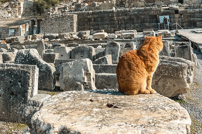 Private Half Day Ephesus Shore Excursion from Kusadasi - The Temple of Artemis, a famous site with little left to see