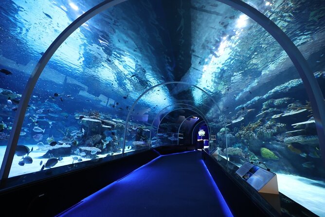 Private Hamad Port Tour in Mesaieed |Aquarium |Maritime Museum - From Doha to the Working Port