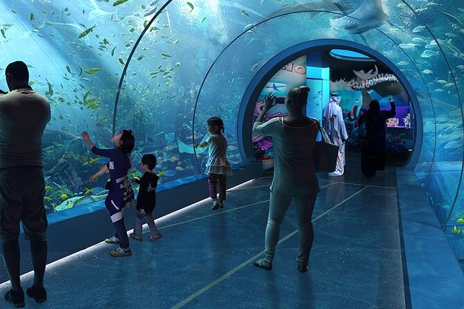Private Hamad Port Tour in Mesaieed |Aquarium |Maritime Museum - The 4D Cinema Adds Movement