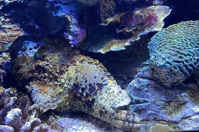 Private Hamad Port Tour in Mesaieed |Aquarium |Maritime Museum - Who Will Enjoy Hamad Port Most?