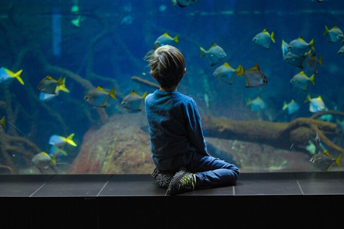Private Hamad Port Tour in Mesaieed |Aquarium |Maritime Museum - Walking Through the Aquarium Tunnels
