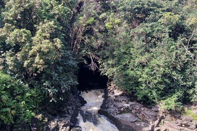 Private Hilo Shore Excursion Volcano National Park up to 10 - Hawaiʻi Volcanoes National Park in about two hours