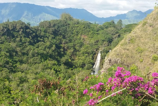 Private Kauai North Shore Tour - A quieter stop at Kauai’s Hindu Monastery