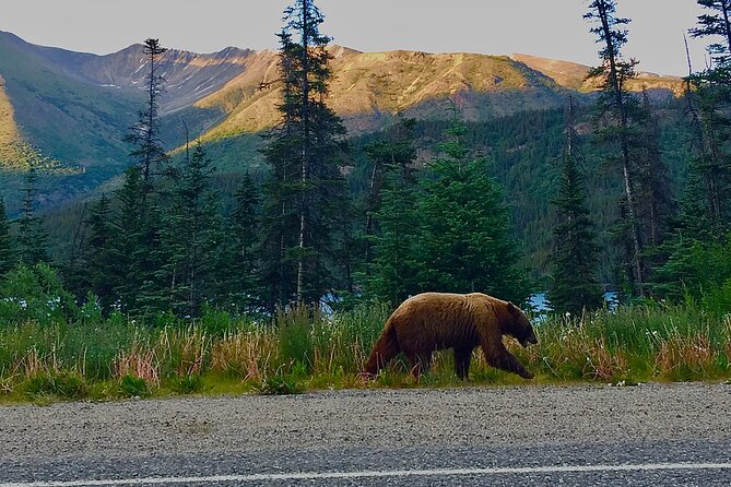 Private luxury shore excursion Skagway, AK to Emerald Lake, Yukon. - Why the private price can make sense