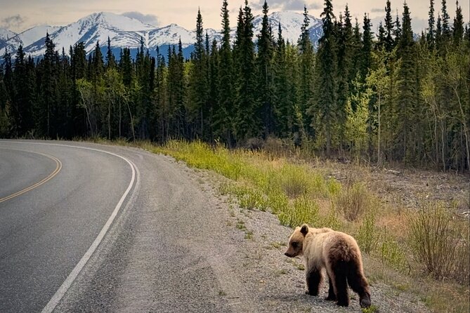 Private luxury shore excursion Skagway, AK to Emerald Lake, Yukon. - Booking, timing, and cancellation details