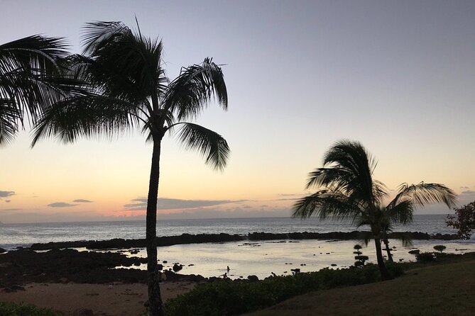 Private Pearl Harbor & North Shore tour (Se habla Español) - Green World Coffee Farms adds a welcome change of pace