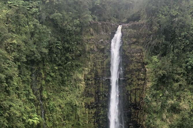PRIVATE Shore Excursion - 'Best of Hilo and Hamakua coast - Onomea Bay and the story written in the cliffs