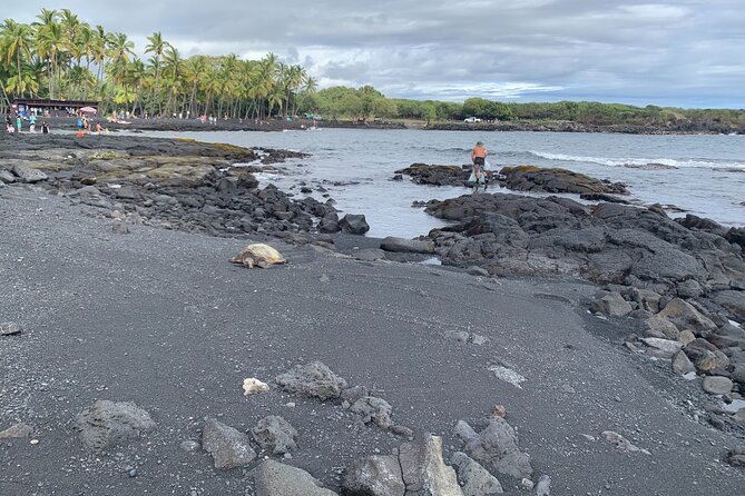 PRIVATE Shore Excursion - 'Best of Hilo and Hamakua coast - Big Island Candies and a working food facility