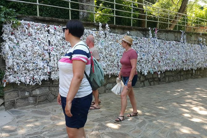Private Shore Excursion: Ephesus,Temple of Artemis,St. Mary House - The Temple of Artemis in thirty minutes