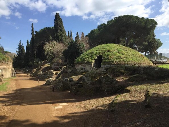 Private Shore Excursion from Civitavecchia Port to Etruscan Countryside - Key points to know before you book