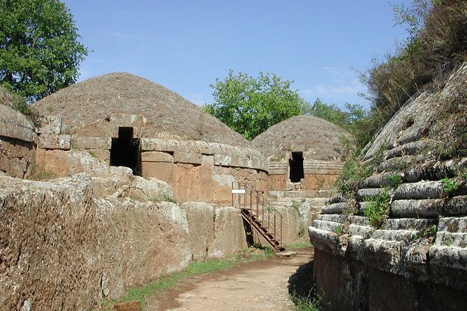 Private Shore Excursion from Civitavecchia Port to Etruscan Countryside - Practical details that affect the day