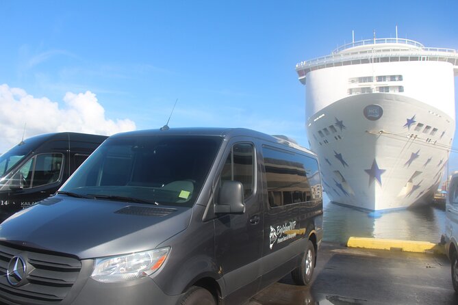 Private Shore Excursion Hilo Volcanoes National Park up to 10 PPL - Why this tour works well from a cruise ship