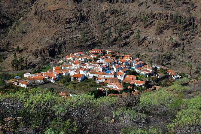 Private shore excursion in Gran Canaria the miniature continent - Key points to know before booking