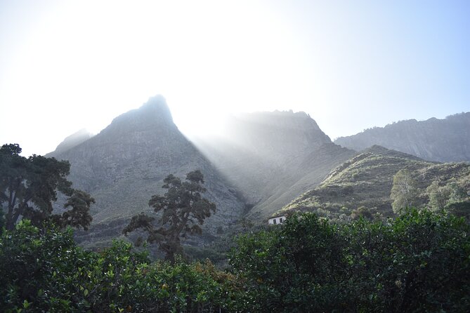 Private Shore Excursion in Gran Canaria - Arucas brings town life into the route