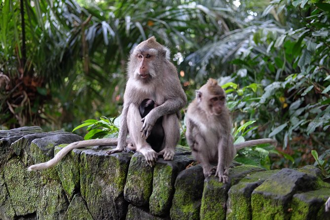 Private Shore Excursion: Ubud Art Villages and Sacred Monkey Forest - Ubud Art Market and the practical art of bargaining